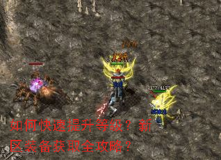 如何快速提升等级?新区装备获取全攻略? 如何快速提升等级?新区装备获取全攻略?