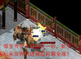 ΢�䴫�����θտ�һ�룬���������ο�������ư�ȫ����