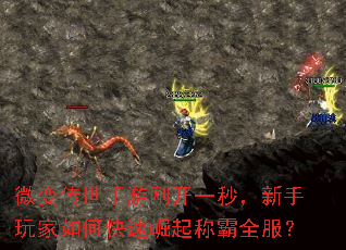 ΢�䴫�����θտ�һ�룬���������ο�������ư�ȫ����