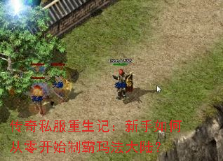 传奇私服重生记:新手如何从零开始制霸玛法大陆? 传奇私服重生记:新手如何从零开始制霸玛法大陆?