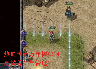 热血传奇万年树如何高效养护与管理? 热血传奇万年树如何高效养护与管理?