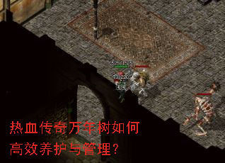 热血传奇万年树如何高效养护与管理? 热血传奇万年树如何高效养护与管理?