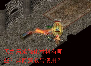 天之屠龙强化材料有哪些?如何获取与使用? 天之屠龙强化材料有哪些?如何获取与使用?