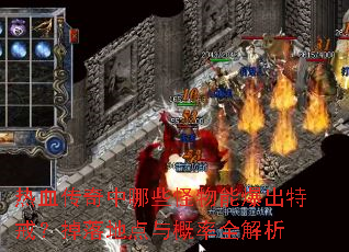 热血传奇中哪些怪物能爆出特戒?掉落地点与概率全解析 热血传奇中哪些怪物能爆出特戒?掉落地点与概率全解析