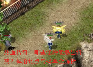 热血传奇中哪些怪物能爆出特戒?掉落地点与概率全解析 热血传奇中哪些怪物能爆出特戒?掉落地点与概率全解析