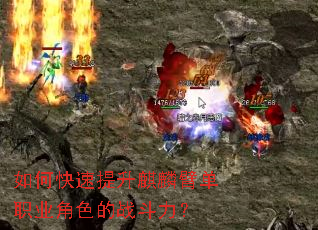 如何快速提升麒麟臂单职业角色的战斗力? 如何快速提升麒麟臂单职业角色的战斗力?