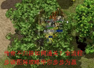 ���治��·���ͨ�أ�ȫ���̲���ͼ�⹥�Դ��㲽��ΪӮ