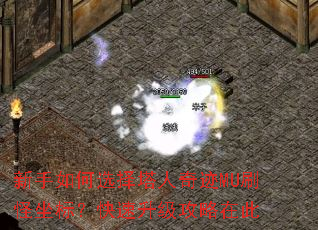 新手如何选择塔人奇迹MU刷怪坐标?快速升级攻略在此 新手如何选择塔人奇迹MU刷怪坐标?快速升级攻略在此
