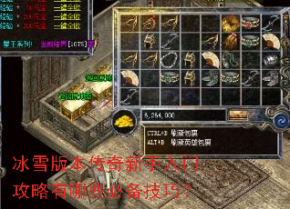 冰雪版本传奇新手入门攻略有哪些必备技巧? 冰雪版本传奇新手入门攻略有哪些必备技巧?