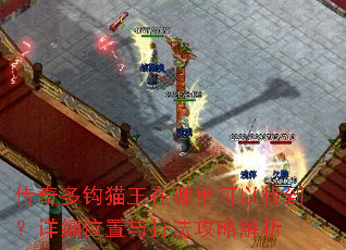 ����๳è������������ҵ�����ϸλ����򷨹��Խ���