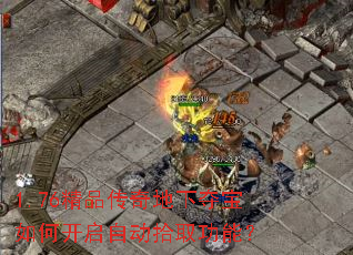 1.76��Ʒ������¶ᱦ��ο����Զ�ʰȡ���ܣ�