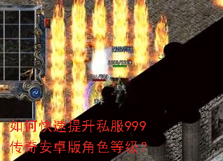 ��ο�������˽��999���氲׿���ɫ�ȼ���