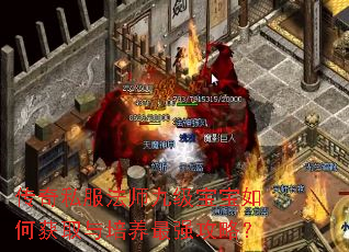 ����˽����ʦ�ż�������λ�ȡ��������ǿ���ԣ�