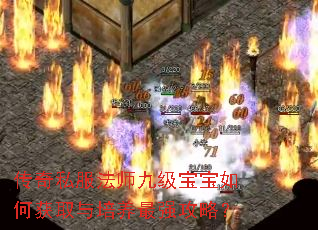 ����˽����ʦ�ż�������λ�ȡ��������ǿ���ԣ�