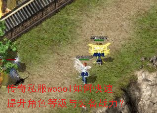 传奇私服woool如何快速提升角色等级与装备战力? 传奇私服woool如何快速提升角色等级与装备战力?