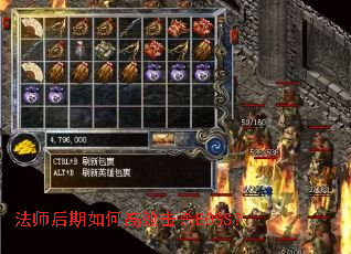 ��ʦ������θ�Ч��ɱBOSS��