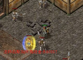��ʦ������θ�Ч��ɱBOSS��
