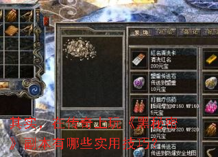 其实,在传奇上玩《黑秘密》副本有哪些实用技巧? 其实,在传奇上玩《黑秘密》副本有哪些实用技巧?