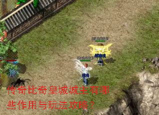 传奇比奇皇城城主有哪些作用与玩法攻略? 传奇比奇皇城城主有哪些作用与玩法攻略?