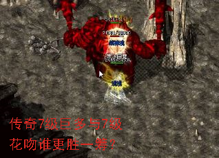 传奇7级巨多与7级花吻谁更胜一筹? 传奇7级巨多与7级花吻谁更胜一筹?