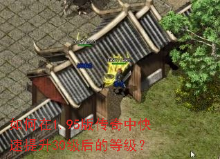 如何在1.95版传奇中快速提升30级后的等级? 如何在1.95版传奇中快速提升30级后的等级?