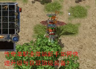 传奇单职业微端新手如何快速升级与获取顶级装备? 传奇单职业微端新手如何快速升级与获取顶级装备?