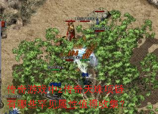 传奇游戏中z传奇天珠项链有哪些罕见属性值得收集? 传奇游戏中z传奇天珠项链有哪些罕见属性值得收集?