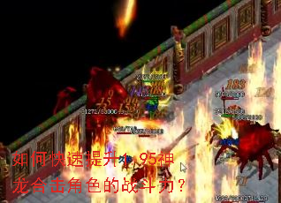 如何快速提升1.95神龙合击角色的战斗力? 如何快速提升1.95神龙合击角色的战斗力?