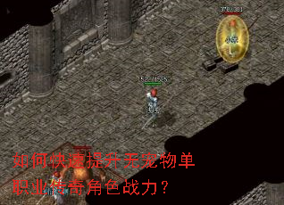 如何快速提升无宠物单职业传奇角色战力? 如何快速提升无宠物单职业传奇角色战力?