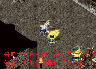 兽血传奇私服关闭原因是什么?如何避免类似情况影响游戏体验? 兽血传奇私服关闭原因是什么?如何避免类似情况影响游戏体验?