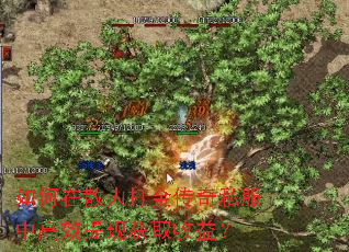 如何在散人打金传奇私服中高效提现获取收益? 如何在散人打金传奇私服中高效提现获取收益?