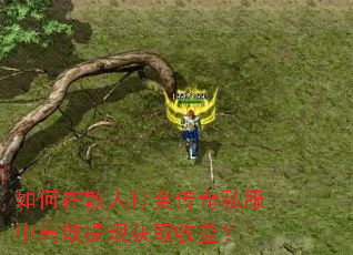 如何在散人打金传奇私服中高效提现获取收益? 如何在散人打金传奇私服中高效提现获取收益?