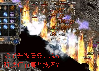 除了升级任务,脱机玩法还有哪些技巧? 除了升级任务,脱机玩法还有哪些技巧?