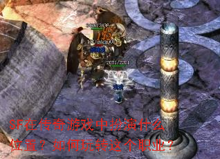 SF在传奇游戏中扮演什么位置?如何玩转这个职业? SF在传奇游戏中扮演什么位置?如何玩转这个职业?