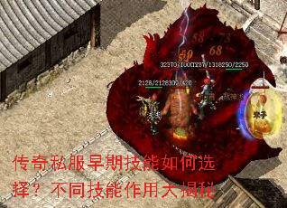 传奇私服早期技能如何选择?不同技能作用大揭秘 传奇私服早期技能如何选择?不同技能作用大揭秘