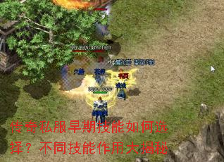 传奇私服早期技能如何选择?不同技能作用大揭秘 传奇私服早期技能如何选择?不同技能作用大揭秘