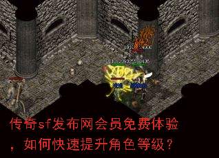 传奇sf发布网会员免费体验,如何快速提升角色等级? 传奇sf发布网会员免费体验,如何快速提升角色等级?