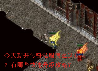 今天新开传奇私服怎么选择?有哪些快速升级攻略? 今天新开传奇私服怎么选择?有哪些快速升级攻略?