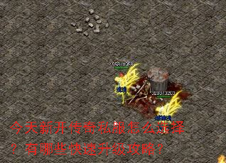 今天新开传奇私服怎么选择?有哪些快速升级攻略? 今天新开传奇私服怎么选择?有哪些快速升级攻略?