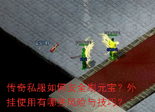 ����˽����ΰ�ȫˢԪ�������ʹ������Щ�����뼼�ɣ�