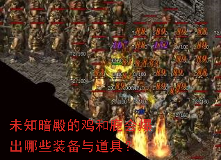 未知暗殿的鸡和鹿会爆出哪些装备与道具? 未知暗殿的鸡和鹿会爆出哪些装备与道具?