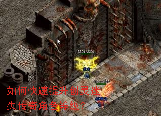 如何快速提升创灵迷失传奇角色等级? 如何快速提升创灵迷失传奇角色等级?