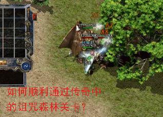 ���˳��ͨ�������е�����ɭ�ֹؿ���
