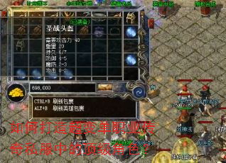 如何打造超变单职业传奇私服中的顶级角色? 如何打造超变单职业传奇私服中的顶级角色?