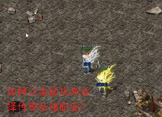 如何以全新视角选择传奇私服职业? 如何以全新视角选择传奇私服职业?