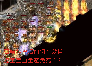 召唤神兽后如何有效监控宝宝血量避免死亡? 召唤神兽后如何有效监控宝宝血量避免死亡?