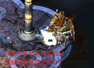 召唤神兽后如何有效监控宝宝血量避免死亡? 召唤神兽后如何有效监控宝宝血量避免死亡?