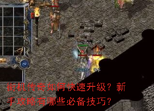 街机传奇如何快速升级?新手攻略有哪些必备技巧? 街机传奇如何快速升级?新手攻略有哪些必备技巧?