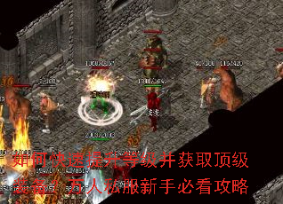 如何快速提升等级并获取顶级装备?万人私服新手必看攻略 如何快速提升等级并获取顶级装备?万人私服新手必看攻略