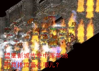 盟重新城传奇中蓬莱地图具体位置在哪儿? 盟重新城传奇中蓬莱地图具体位置在哪儿?